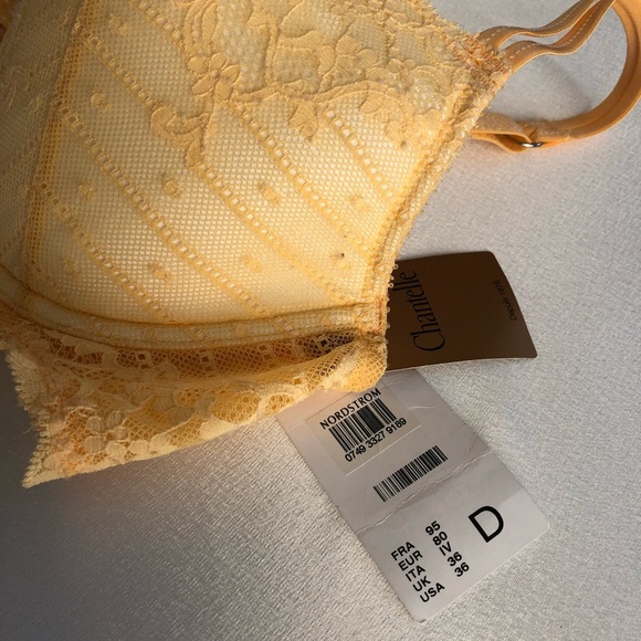 NWT Chantelle Rive Gauche push up Bra #3082 36D - Picture 5 of 12